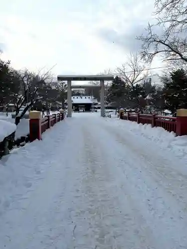 札幌護國神社の鳥居