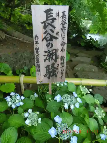 長谷寺(神奈川県)