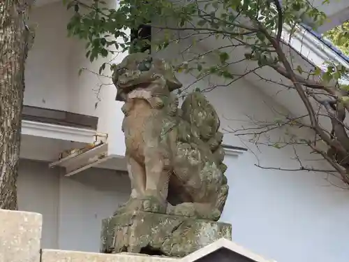 美保神社の狛犬