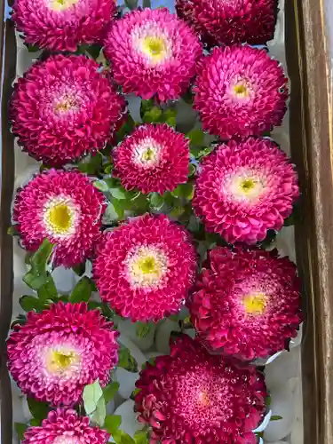 根岸八幡神社(神奈川県)