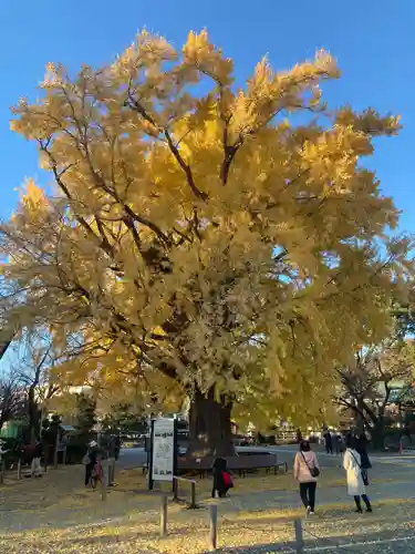 時宗総本山 遊行寺（正式：清浄光寺）(神奈川県)