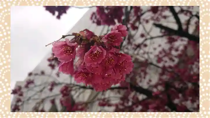 富士浅間神社(群馬県)