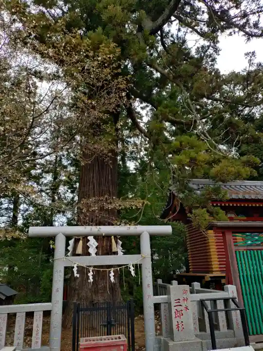 大杉神社の{uncategorized: "未分類", other: "その他", undefined: "問題あり", building: "その他建物", grave: "お墓", sacred_gate: "鳥居", guardian: "狛犬", statue: "像", buddha: "仏像", history: "歴史", nature: "自然", garden: "庭園", animal: "動物", pagoda: "塔", temizu: "手水舎", mountain_gate: "山門・神門", sanctuary: "本殿・本堂", subordinate: "末社・摂社", art: "芸術", scenery: "景色", jizo: "地蔵", ema: "絵馬", goshuin: "御朱印", omikuji: "おみくじ", items: "授与品その他", amulet: "お守り", goshuincho: "御朱印帳", eats: "食事", festival: "お祭り", votive_dance: "神楽", shichigosan: "七五三参", wedding: "結婚式", experience: "体験その他", initially: "初詣", around: "周辺", anti_infection: "感染症対策"}