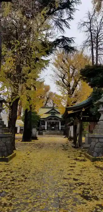 亀有香取神社の本殿・本堂