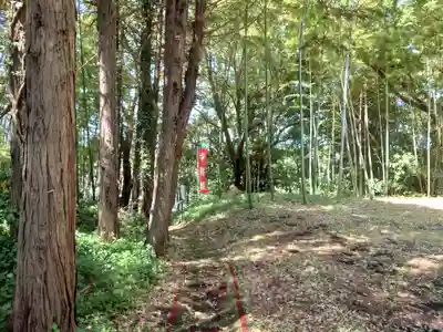 中将姫(神奈川県)