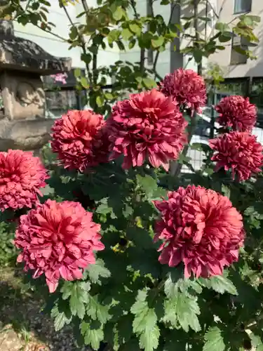 水堂須佐男神社の自然