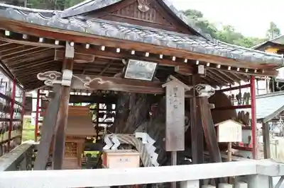 松尾大社のその他建物