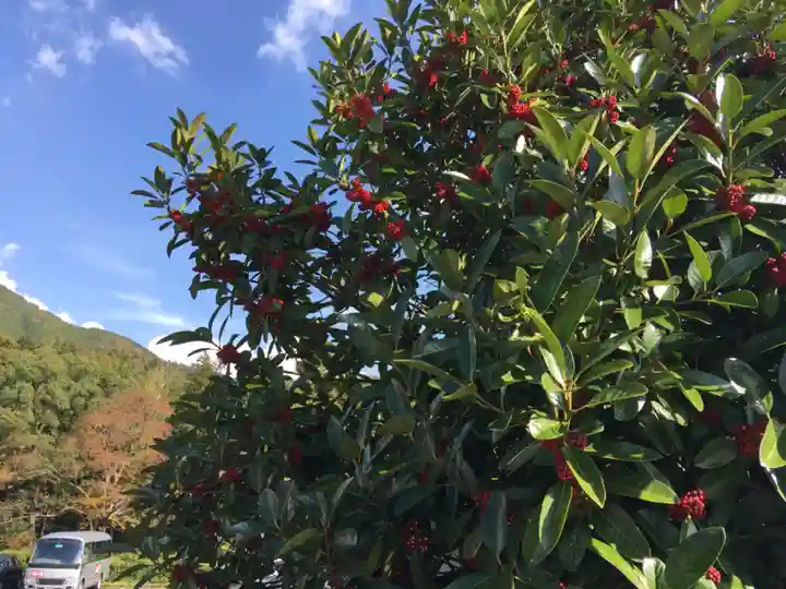 須佐神社の自然