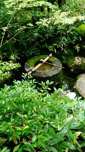 高桐院の手水舎