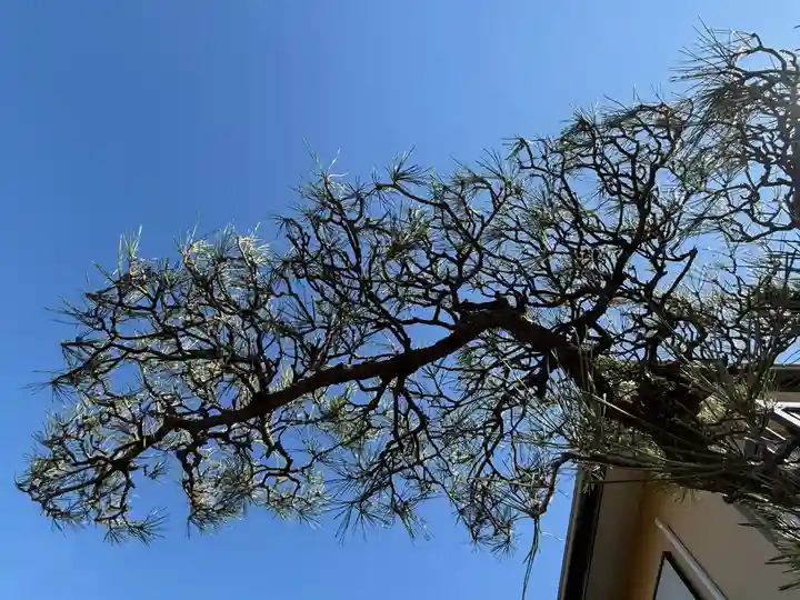 西方山極楽寺(岐阜県)