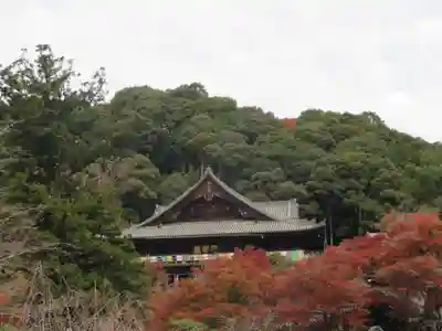 長谷寺(奈良県)
