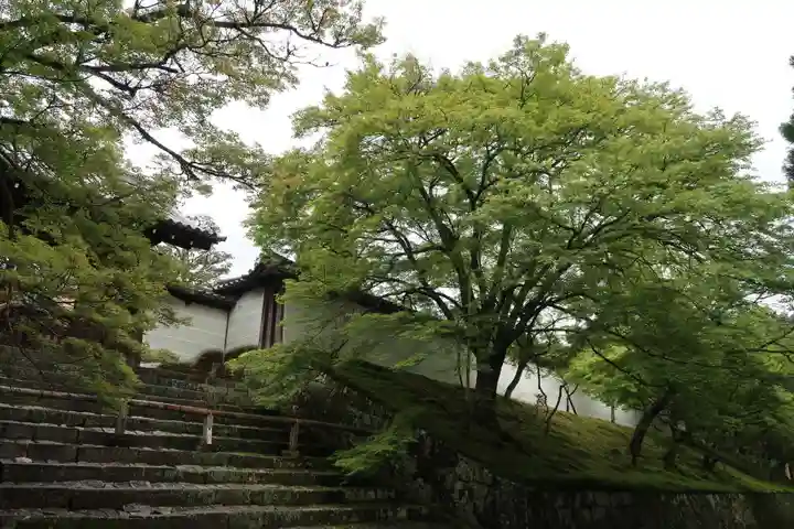 曼殊院門跡(京都府)