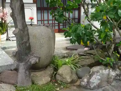 龍泉院のその他建物