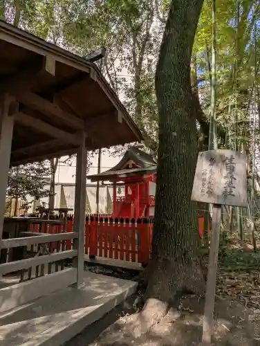 生田神社の{uncategorized: "未分類", other: "その他", undefined: "問題あり", building: "その他建物", grave: "お墓", sacred_gate: "鳥居", guardian: "狛犬", statue: "像", buddha: "仏像", history: "歴史", nature: "自然", garden: "庭園", animal: "動物", pagoda: "塔", temizu: "手水舎", mountain_gate: "山門・神門", sanctuary: "本殿・本堂", subordinate: "末社・摂社", art: "芸術", scenery: "景色", jizo: "地蔵", ema: "絵馬", goshuin: "御朱印", omikuji: "おみくじ", items: "授与品その他", amulet: "お守り", goshuincho: "御朱印帳", eats: "食事", festival: "お祭り", votive_dance: "神楽", shichigosan: "七五三参", wedding: "結婚式", experience: "体験その他", initially: "初詣", around: "周辺", anti_infection: "感染症対策"}