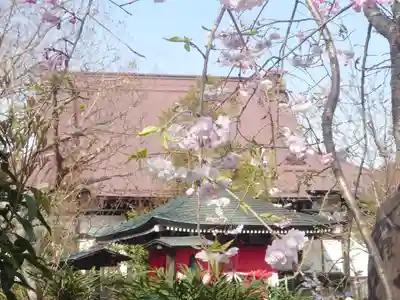 常泉寺(神奈川県)