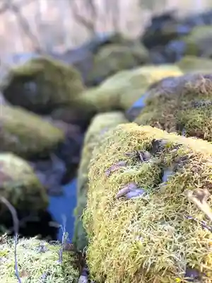 子檀倉宮(子檀嶺神社奥宮)(長野県)