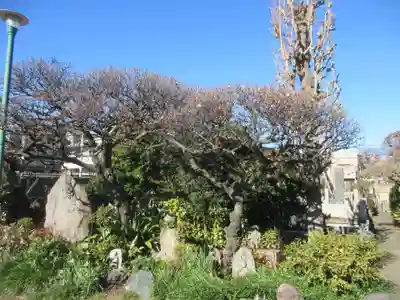 本願寺(東京都)