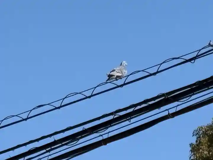 下総国三山 二宮神社(千葉県)