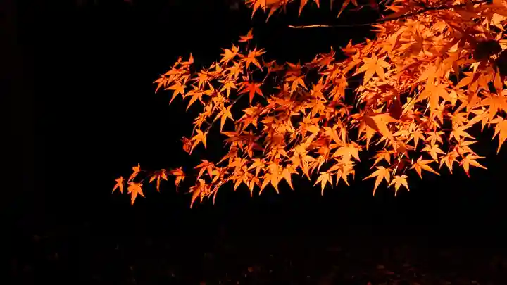 賀茂御祖神社(下鴨神社)(京都府)