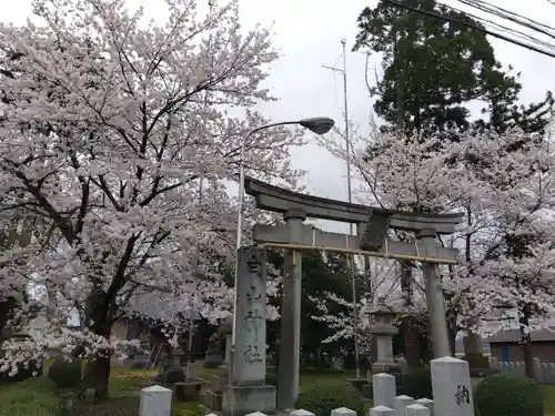 白山神社(福井県)