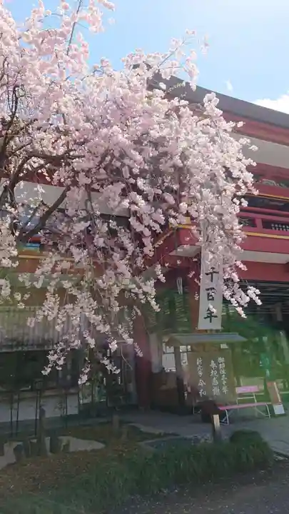 秩父神社の自然