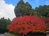 酒波寺(滋賀県)