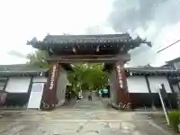 西教寺の{uncategorized: "未分類", other: "その他", undefined: "問題あり", building: "その他建物", grave: "お墓", sacred_gate: "鳥居", guardian: "狛犬", statue: "像", buddha: "仏像", history: "歴史", nature: "自然", garden: "庭園", animal: "動物", pagoda: "塔", temizu: "手水舎", mountain_gate: "山門・神門", sanctuary: "本殿・本堂", subordinate: "末社・摂社", art: "芸術", scenery: "景色", jizo: "地蔵", ema: "絵馬", goshuin: "御朱印", omikuji: "おみくじ", items: "授与品その他", amulet: "お守り", goshuincho: "御朱印帳", eats: "食事", festival: "お祭り", votive_dance: "神楽", shichigosan: "七五三参", wedding: "結婚式", experience: "体験その他", initially: "初詣", around: "周辺", anti_infection: "感染症対策"}