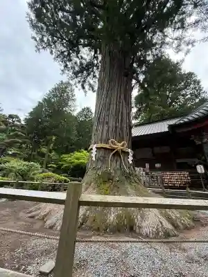 北口本宮冨士浅間神社(山梨県)