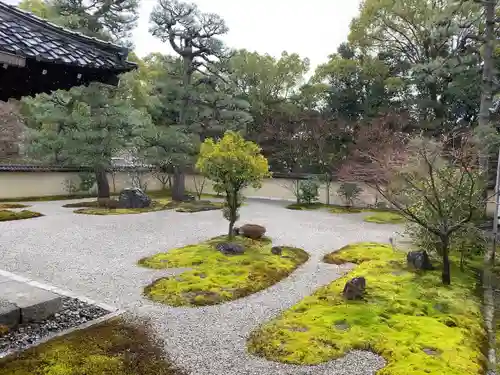 廬山寺（廬山天台講寺）(京都府)