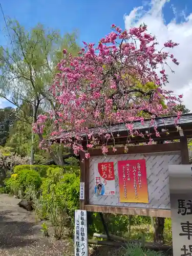 日高神社の自然
