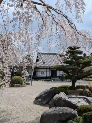 當麻寺奥院(奈良県)