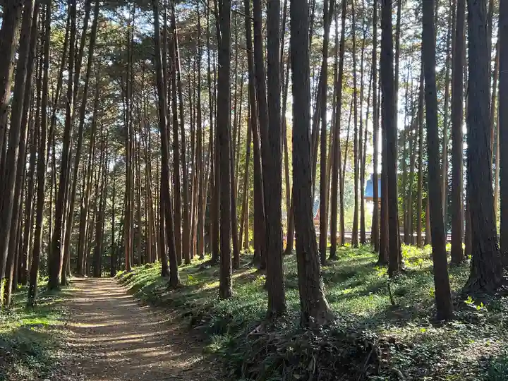 出雲伊波比神社(埼玉県)