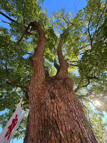 神戸水天宮(兵庫県)