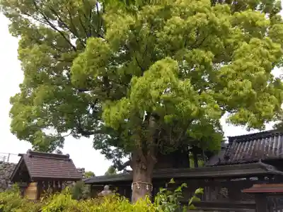 柳澤神社(奈良県)