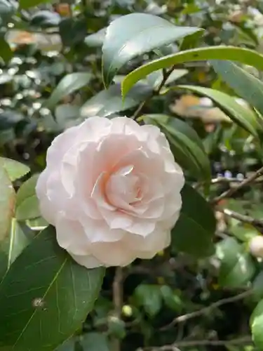 城南宮(京都府)