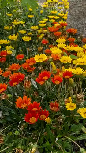 大松禅寺(京都府)