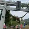高司神社〜むすびの神の鎮まる社〜の鳥居