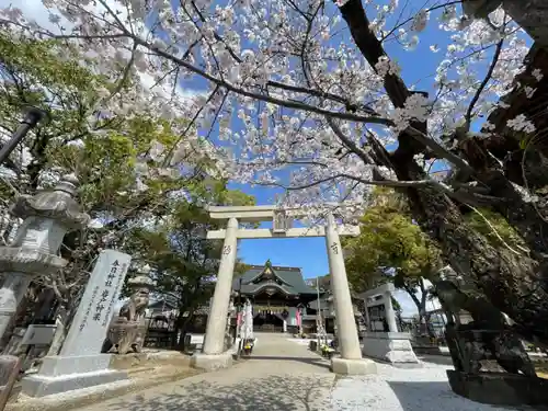 春日神社の鳥居