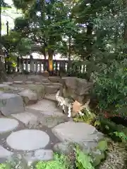 川越氷川神社(埼玉県)