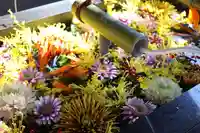 石神井氷川神社(東京都)