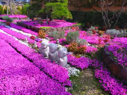 寿量山　速成寺のお墓