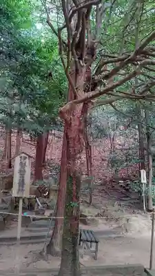 安仁神社(岡山県)