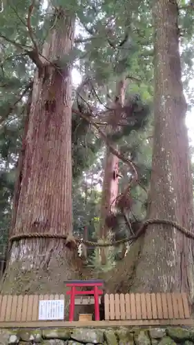 室生龍穴神社(奈良県)