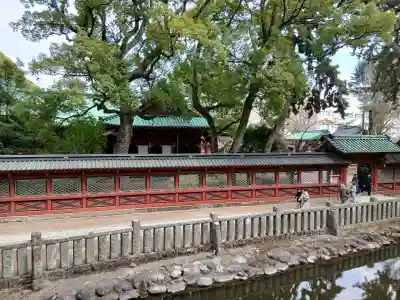 乙女稲荷神社の{uncategorized: "未分類", other: "その他", undefined: "問題あり", building: "その他建物", grave: "お墓", sacred_gate: "鳥居", guardian: "狛犬", statue: "像", buddha: "仏像", history: "歴史", nature: "自然", garden: "庭園", animal: "動物", pagoda: "塔", temizu: "手水舎", mountain_gate: "山門・神門", sanctuary: "本殿・本堂", subordinate: "末社・摂社", art: "芸術", scenery: "景色", jizo: "地蔵", ema: "絵馬", goshuin: "御朱印", omikuji: "おみくじ", items: "授与品その他", amulet: "お守り", goshuincho: "御朱印帳", eats: "食事", festival: "お祭り", votive_dance: "神楽", shichigosan: "七五三参", wedding: "結婚式", experience: "体験その他", initially: "初詣", around: "周辺", anti_infection: "感染症対策"}