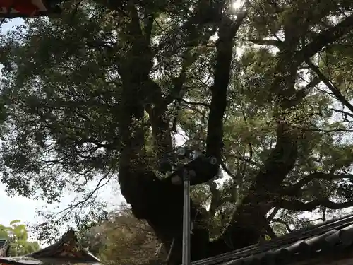 石清水八幡宮(京都府)
