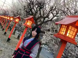 朝日森天満宮(栃木県)(2022年03月12日(土) 18時30分05秒投稿)