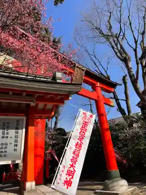 馬橋稲荷神社の鳥居