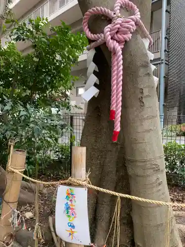 伊和志津神社の自然