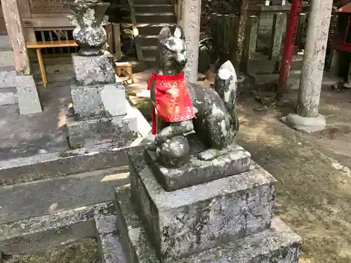 石穴稲荷神社の狛犬