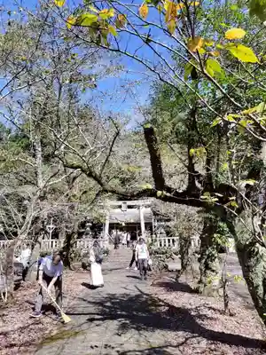 天鷹神社(岐阜県)